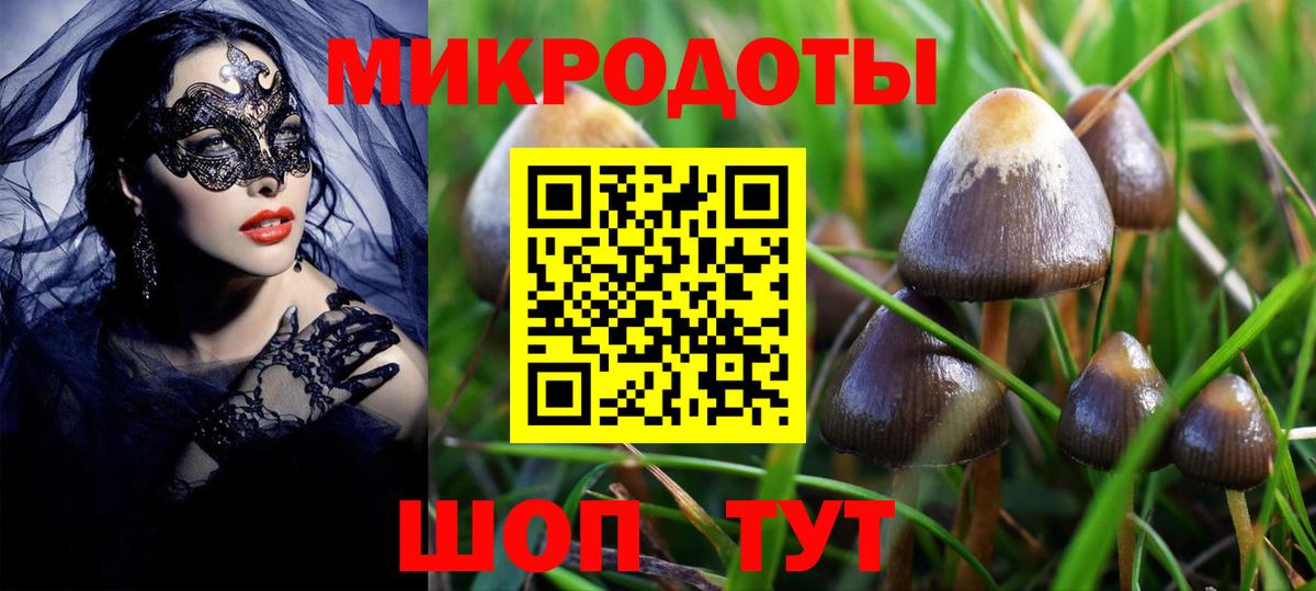 Галлюциногенные грибы MAGIC MUSHROOMS Ростов Великий